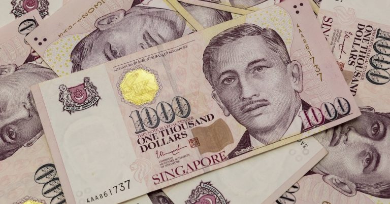 Singapore households